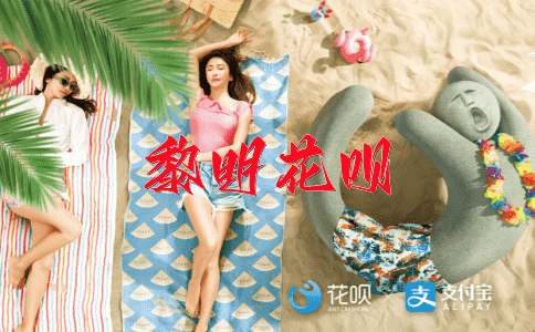 一目了然，一家之言花呗